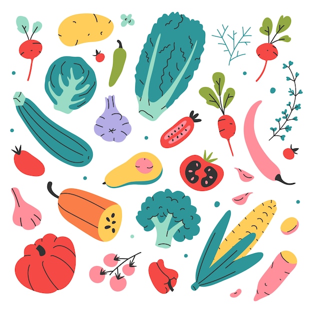 Varios tipos de verduras, ilustraciones de vectores dibujados a mano