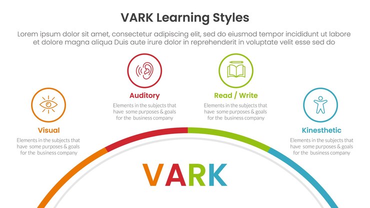Vector vark estilos de aprendizaje infográfico plantilla de etapa de 4 puntos con mitad de círculo en la parte inferior con punto de contorno para la presentación de diapositivas