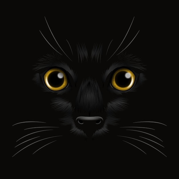 Vector 3d Gatos amarillos realistas Ojo de un gato negro en la oscuridad por la noche Cara de gato con bigote de nariz de sí en gato negro Primer plano Mira en la obscuridad vista delantera