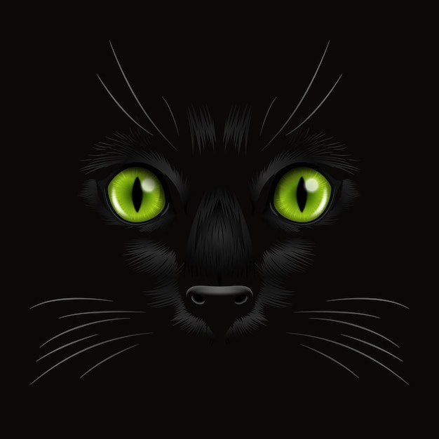 Vector 3d gatos verdes realistas ojo de un gato negro en la oscuridad por la noche