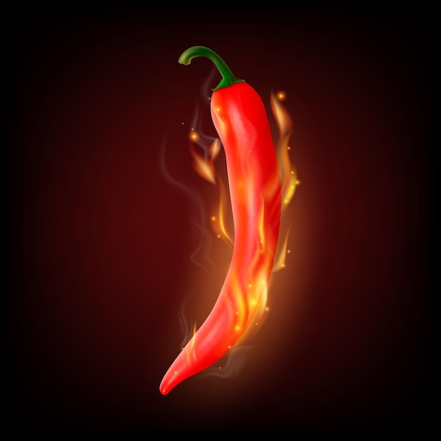 Vector 3d Pimienta de chile roja y caliente realista de primer plano en una llama ardiente