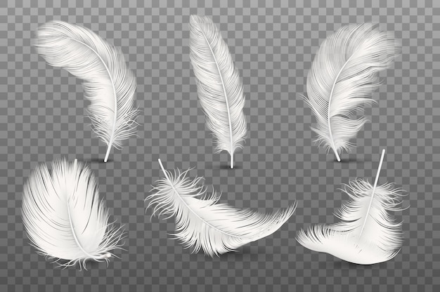 Vector 3d Realista Caída Diferente Blanco Fluffy Twirled Feather Set Closeup Aislado en Transparencia Grid Plantilla de Diseño de Fondo Clipart de Ángel o Ave Pluma Detallada en Varias Formas