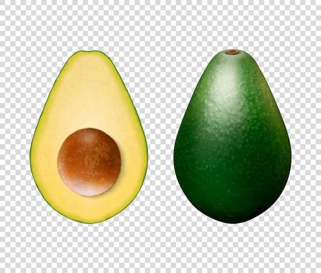 Vector 3d Realista Entero y Medio Aguacate con Primer Plano de Semilla Aislado en Plantilla de Diseño de Fondo Transparente Concepto de Dieta de Salud Alimenticia Vista Frontal o Superior