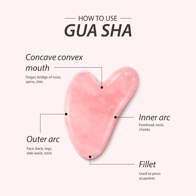 Vector 3d realista gua sha jade herramienta de masaje de raspado beneficios partes instrucción infografía rascador de piedra de cuarzo rosa rosa natural levantamiento facial tradicional chino para mujer vista superior