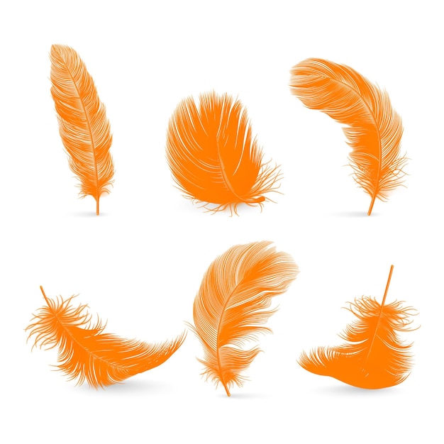 Vector 3d realistic orange fluffy feather set aislado en un fondo blanco