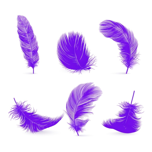 Vector 3d Realistic Purple Fluffy Feather Set aislado en un fondo blanco
