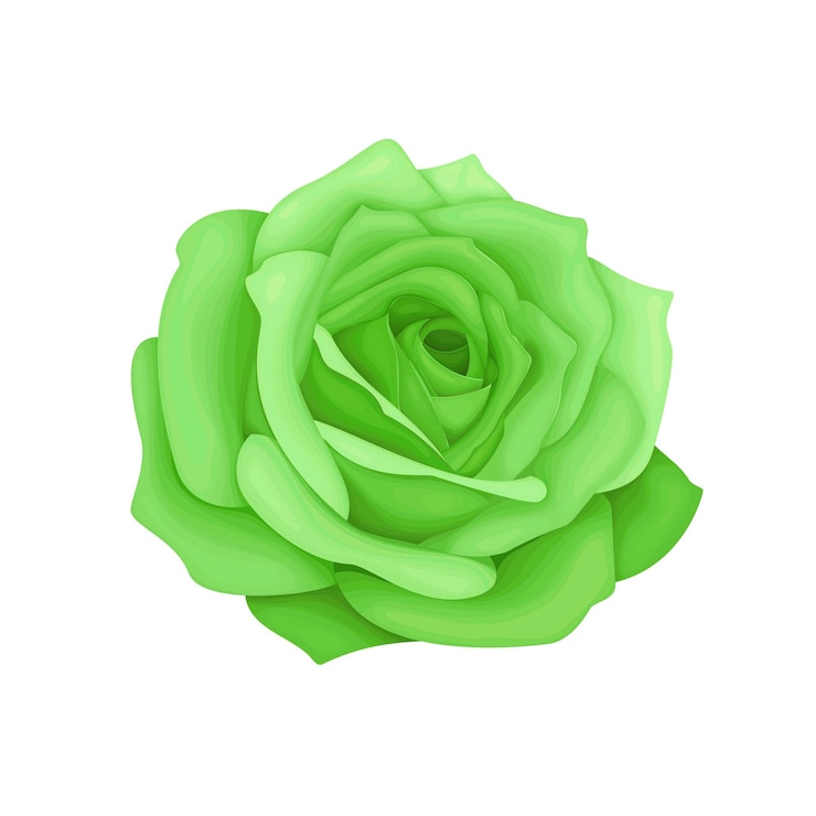 Vector vector abstracto elemento de flor verde acuarela ilustración de fondo