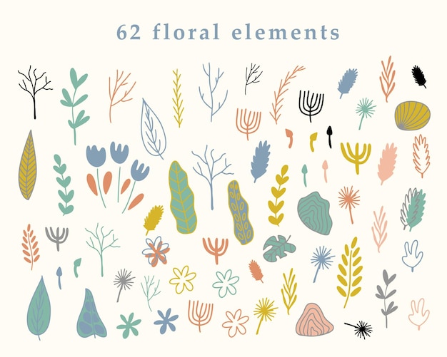 Vector abstracto simple formas naturaleza botánica flores y hojas texturas fondos elementos diseño moderno