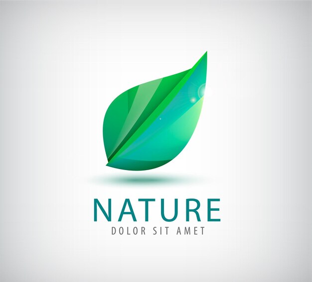 Vector abstracto verde hoja logo hojas icono jardín planta naturaleza y eco