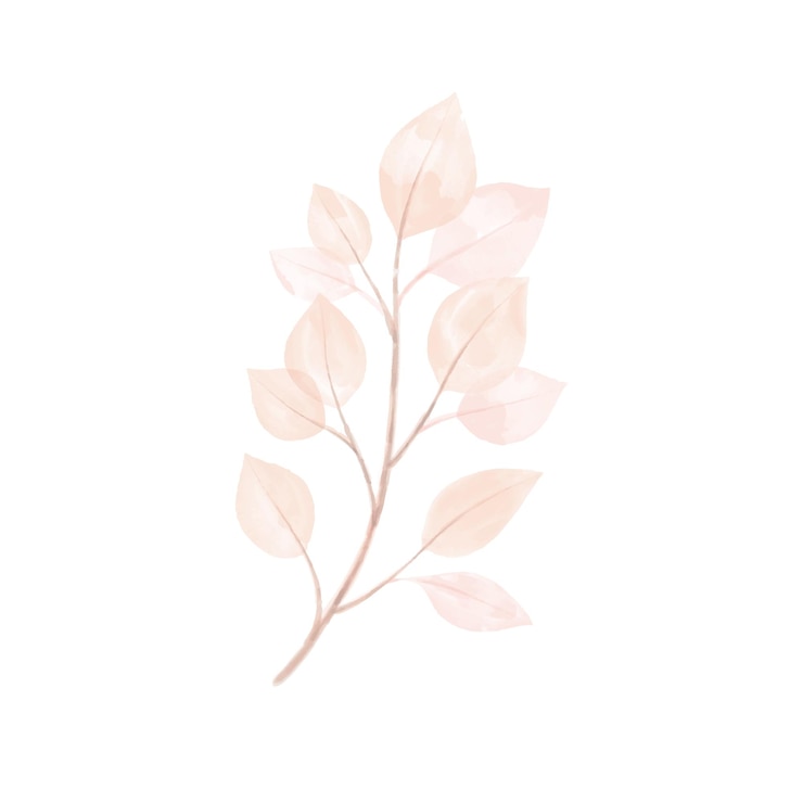 Vector vector acuarela dibujada a mano planta pn fondo blanco