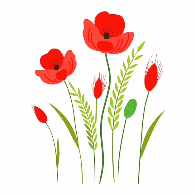Vector de acuarela expresiva de amapolas rojas y hierbas silvestres Diseño floral orgánico fresco para la naturaleza