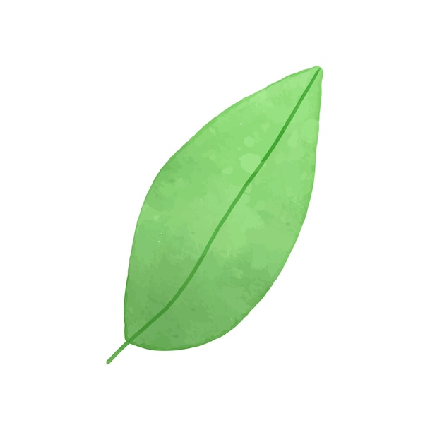 Vector vector acuarela hoja tropical verde brillante para diseños de verano