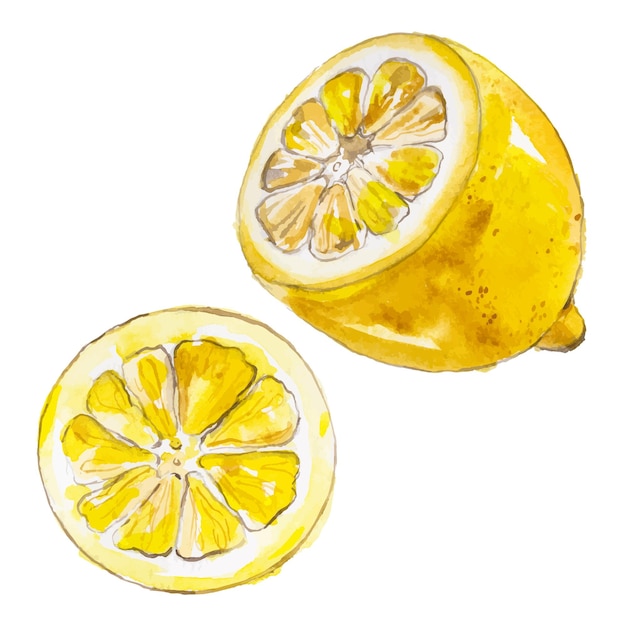 Vector acuarela pintada limón elementos de diseño de alimentos frescos dibujados a mano aislados sobre fondo blanco
