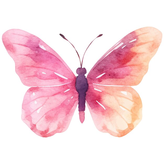 Vector Acuarela pintada mariposa Elementos de diseño dibujados a mano aislados sobre fondo blanco