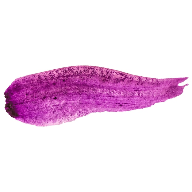 Vector acuarela pintada pincelada elemento de diseño dibujado a mano aislado sobre fondo blanco
