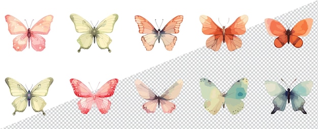 Vector vector acuarela rosa azul rojo naranja mariposas clipart