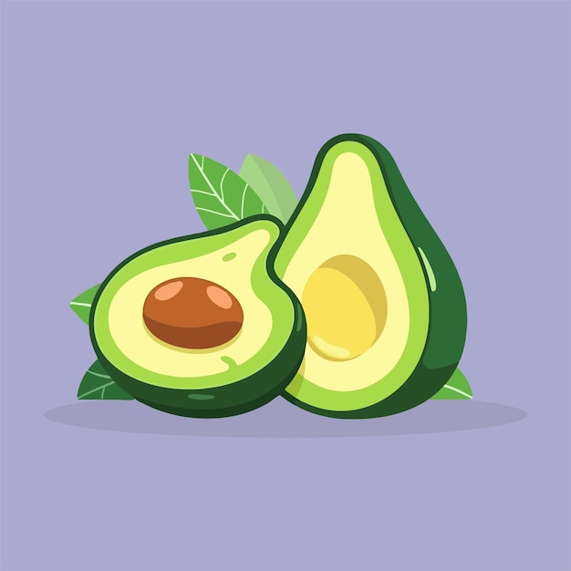 Vector de aguacates frescos