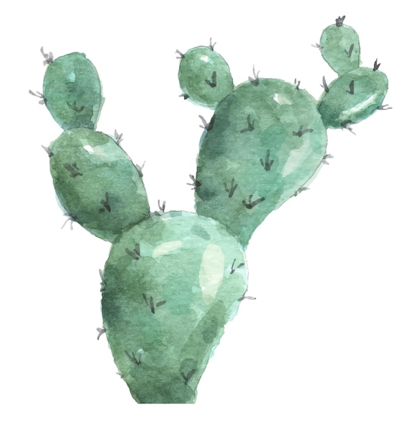 Vector aislado de cactus acuarela