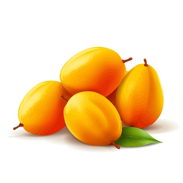 Vector vector aislado de la fruta del mango