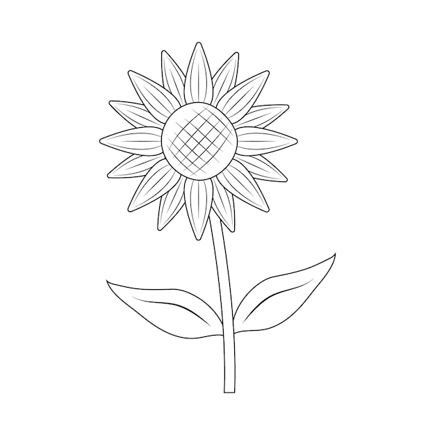 Vector aislado un girasol con dibujo de línea de contorno en blanco y negro incoloro de hoja