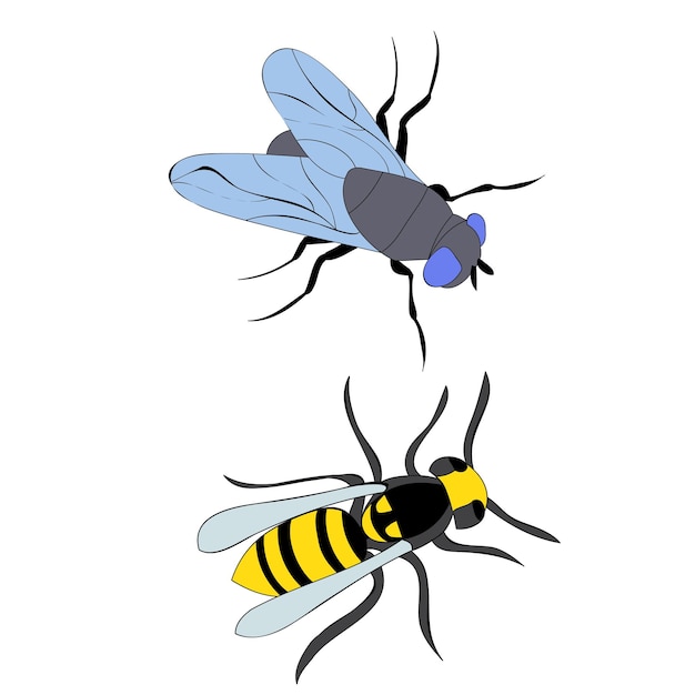 Vector aislado insecto abeja y mosca