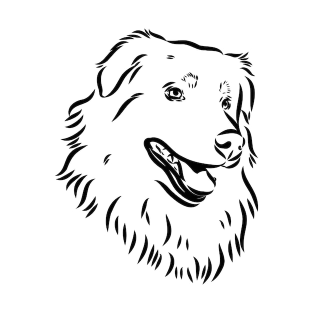 Vector aislado una sola cabeza de perro pastor australiano blanco y negro bw silueta de dos colores Plantilla para grabado láser o plantilla dibujo vectorial de pastor australiano