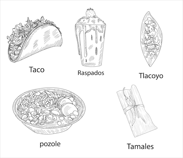 Vector de alimentos mexicanos. los mejores platillos mexicanos. ilustración de conjunto de comida latinoamericana.