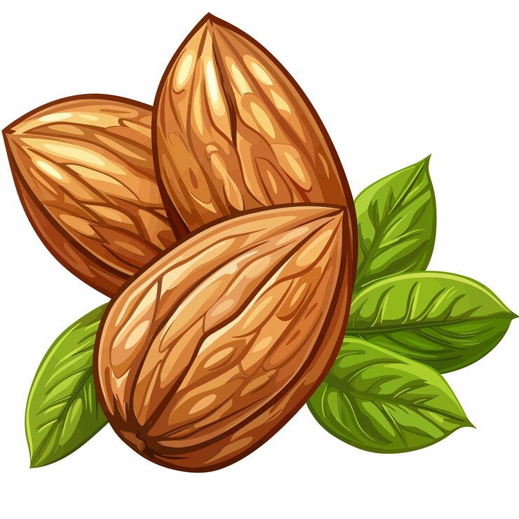 Vector vector de las almendras