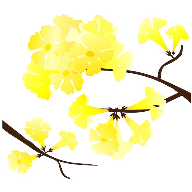 Vector amarillo trompeta árbol hermosa flor amarilla