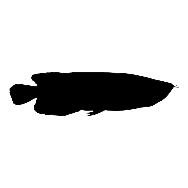Vector animal aislado Arowana sobre fondo blanco
