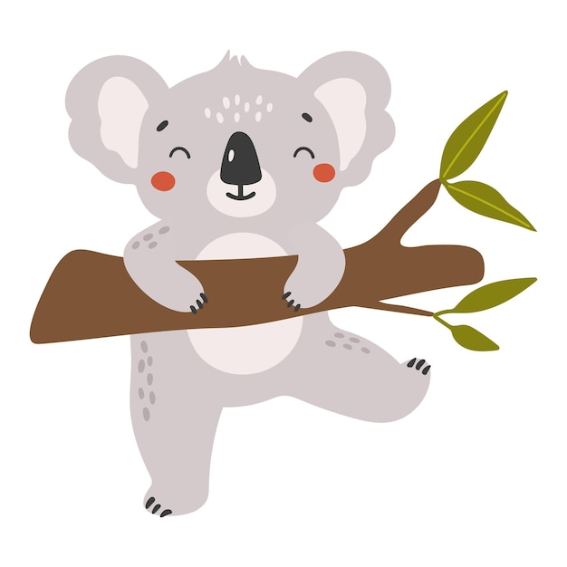 Vector animal koala Resumen bebé koala vector safari bebé animal lindo animal aislado