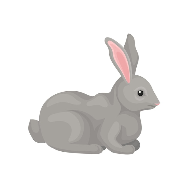 Vector animal roedor bosque salvaje conejo gris ilustración aislada sobre fondo blanco