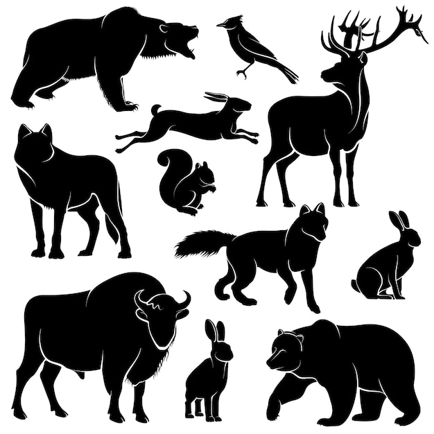 Vector de animales del bosque para diseño en madera. Colección de zoología