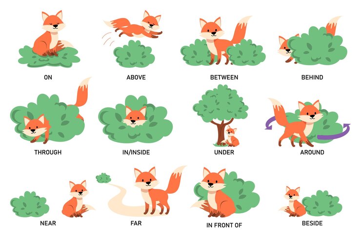 Vector vector de aprendizaje de preposiciones en inglés aislado