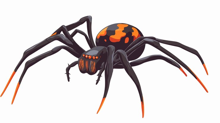 Vector vector de araña venenosa espeluznante para el clip art de halloween