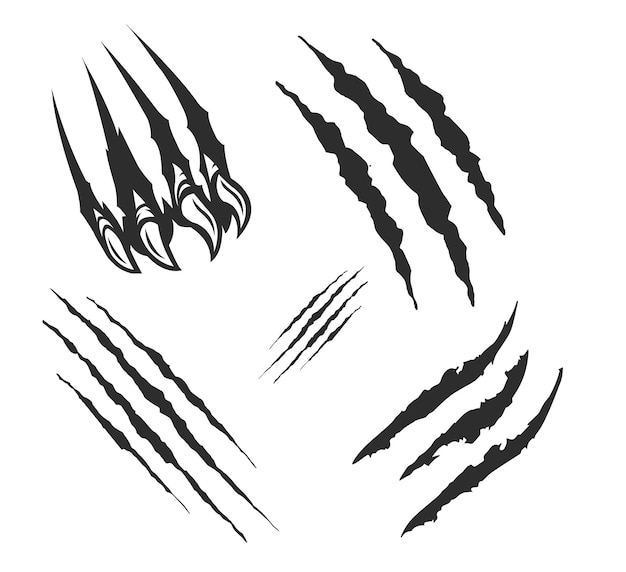 Vector de arañazos con garras o uñas