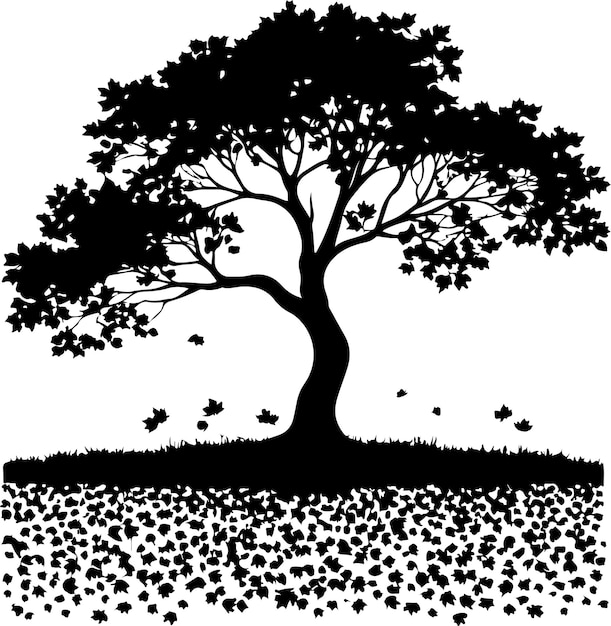 Vector de árbol de arce campo de color negro silueta aislada fondo blanco