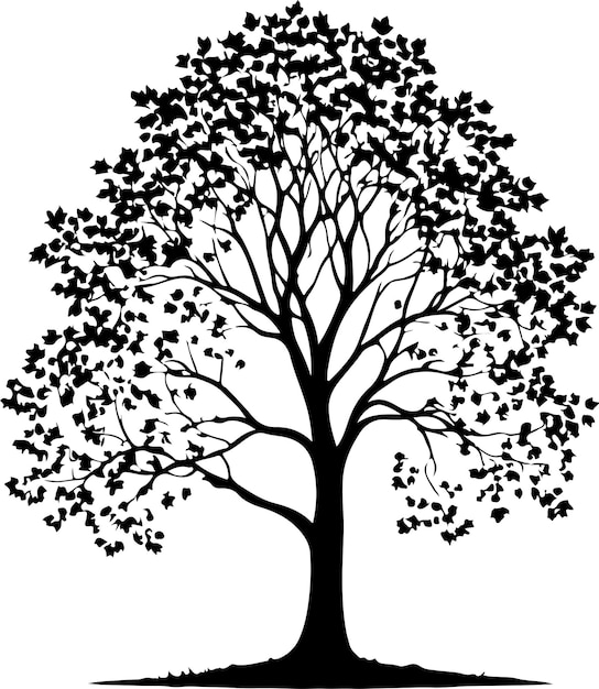 Vector de árbol de arce campo de color negro silueta aislada fondo blanco
