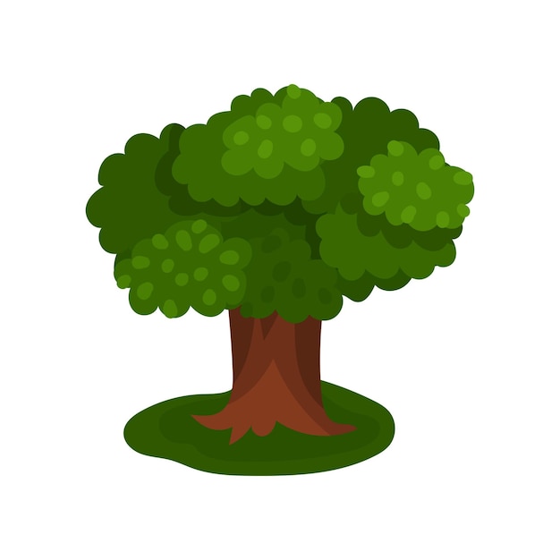 Vector de árbol extenso de verano Ilustración aislada en un fondo blanco