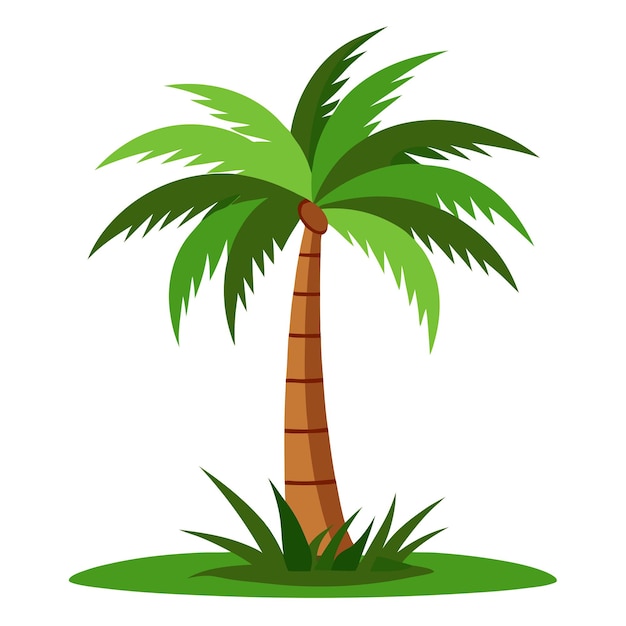 Vector de árbol de palma de fondo blanco
