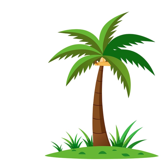 Vector de árbol de palma de fondo blanco
