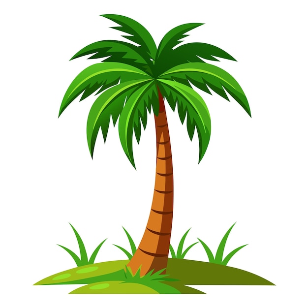 Vector de árbol de palma de fondo blanco