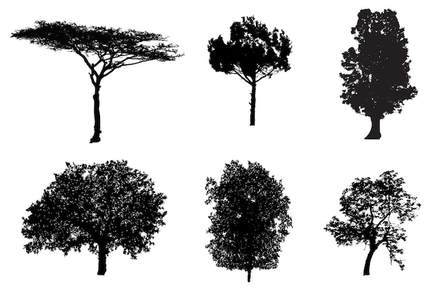 vector de arbol