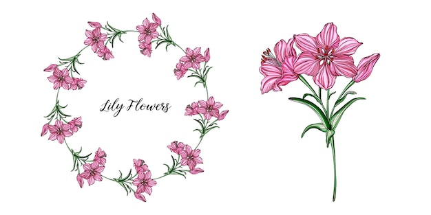 Vector arreglos florales con flores de lirio