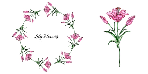 Vector arreglos florales con flores de lirio.