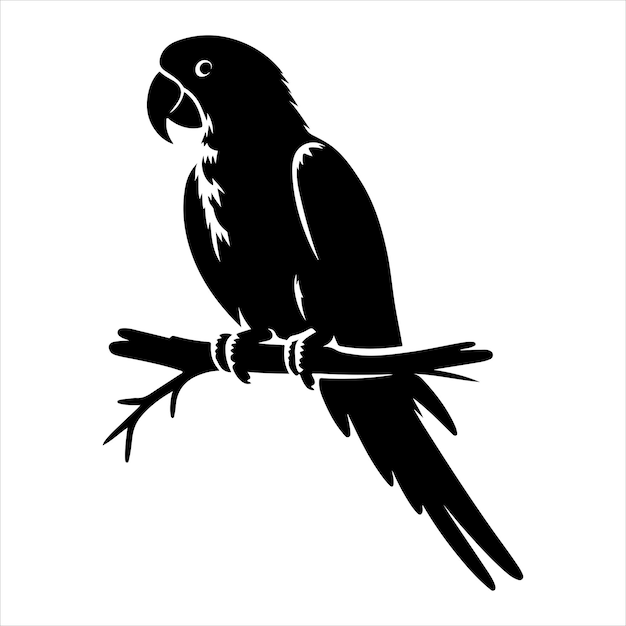 Vector de arte y gráfico de vector de color negro silueta de color blanco fondo