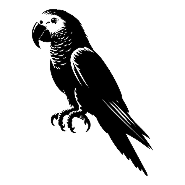 Vector de arte y gráfico de vector de color negro silueta de color blanco fondo
