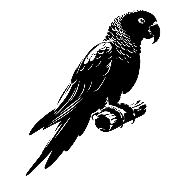 Vector de arte y gráfico de vector de color negro silueta de color blanco fondo