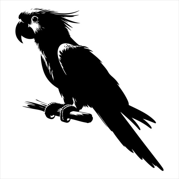 Vector de arte y gráfico de vector de color negro silueta de color blanco fondo
