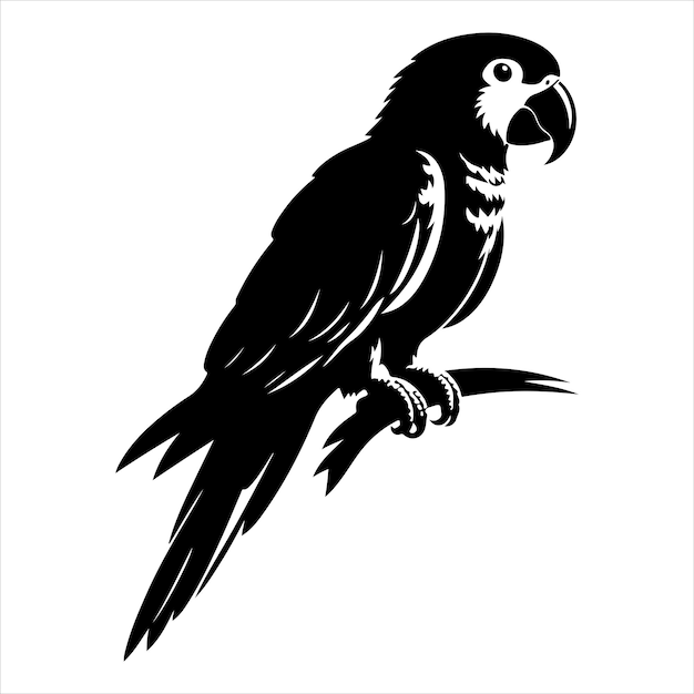 Vector de arte y gráfico de vector de color negro silueta de color blanco fondo